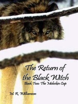 cover image of The Return of the Black Witch